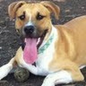 Meet your Posher, Boston